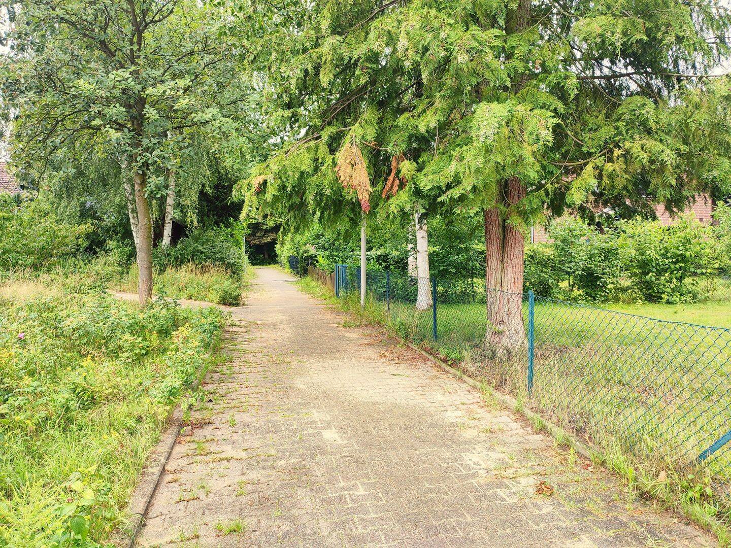 Haus – Lüneburg, Kreideberg - Ansicht 5