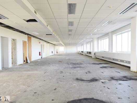 Büro zur Miete 7.207 € 514,8 m² Bürofläche Wiener Neudorf 2351