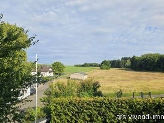Mehrfamilienhaus zum Kauf 529.000 € 12 Zimmer 356 m² 900 m² Grundstück Udenhain Brachttal 63636