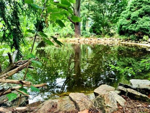 Einfamilienhaus zur Versteigerung 130.000 € 4 Zimmer 91 m² 3.420 m² Grundstück frei ab sofort Döbern 03159