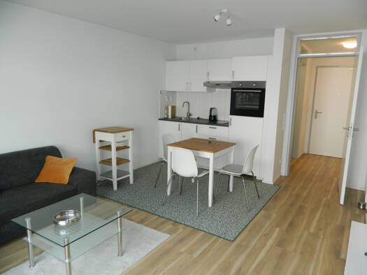 Wohnung zur Miete 1.070 € 1,5 Zimmer 39 m² Haimhausen 85778