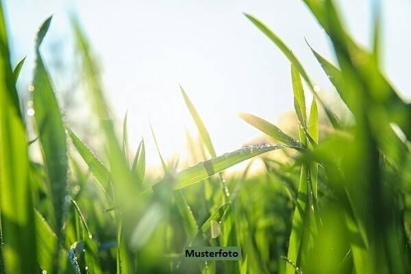 Land-/Forstwirtschaft zum Kauf
