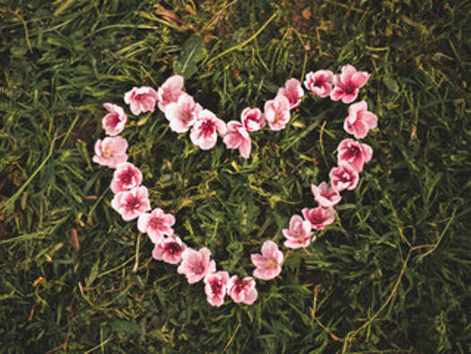 Grundstück zum Kauf 486.000 € 1.620 m² Grundstück Bichl Haag 83527