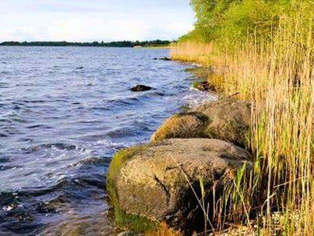 Einfamilienhaus zum Kauf provisionsfrei 1.800.000 € 10 Zimmer 720 m² 20.000 m² Grundstück Kaltenhof Nordwestmecklenburg - Landkreis - Dassow 23942