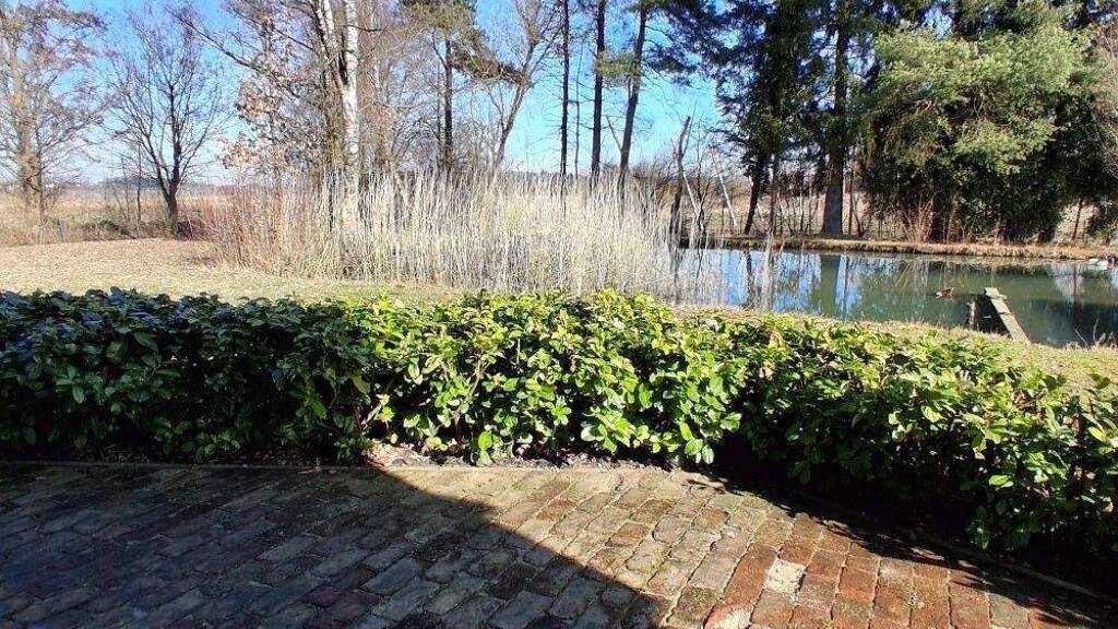 Studio zur Miete 450 € 1 Zimmer 25 m² frei ab 01.05.2026 Stadelhof Wolnzach 85283