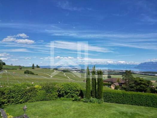 Einfamilienhaus zum Kauf 4.924.494 € 8 Zimmer 400 m² Chemin des Cassivettes Féchy 1173