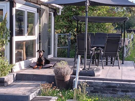 Einfamilienhaus zum Kauf provisionsfrei 169.500 € 2 Zimmer 47 m² 1.260 m² Grundstück Mittweide 15848