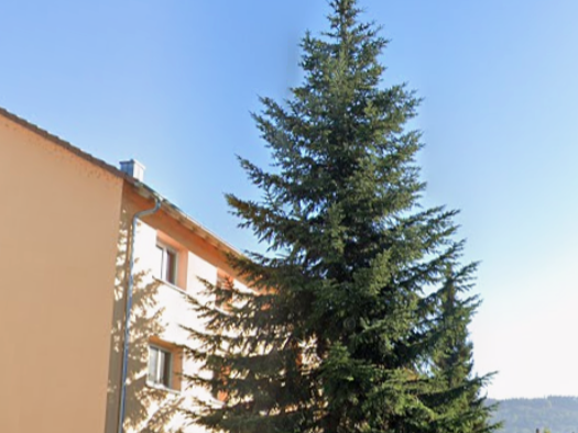 Wohnung zur Miete 755 € 1,5 Zimmer 46,6 m² Geschoss 1/2 frei ab sofort Hebelstraße 6 Rielasingen Rielasingen-Worblingen 78239