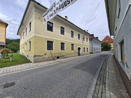 Haus zum Kauf 370 m² 1.380 m² Grundstück Straßburg-Stadt 9341