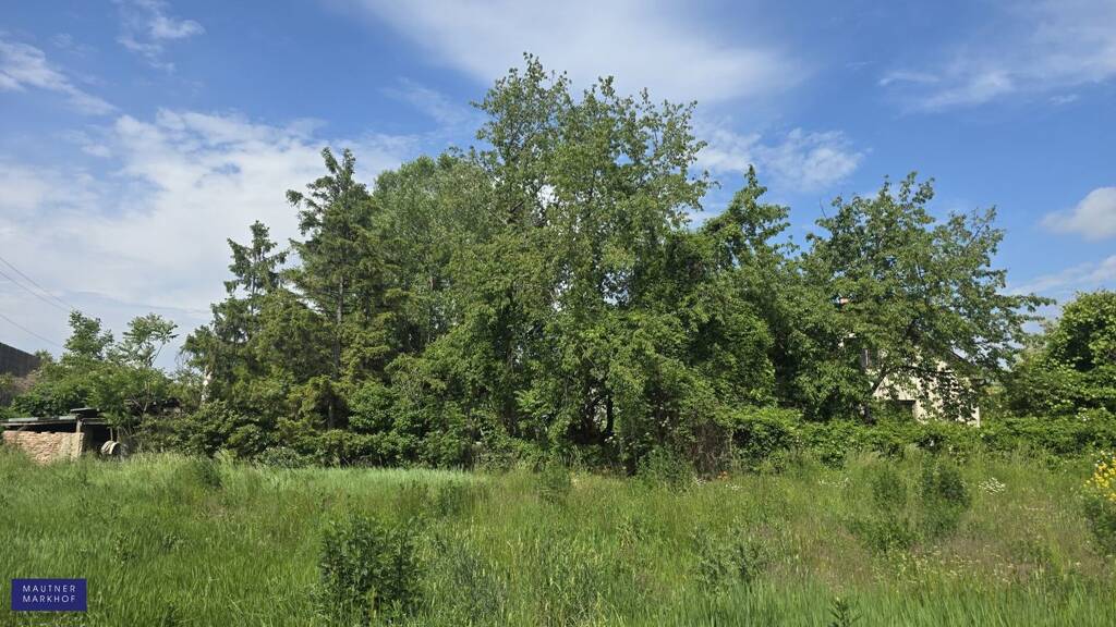 Grundstück zum Kauf 390.000 € 1.049 m² Grundstück Franz Hütter Gasse 2 Münchendorf 2482