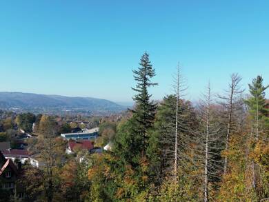Penthouse zum Kauf - Neubau 381.900 € 3 Zimmer 113,2 m² 2. Geschoss Bodestraße 8a Bad Harzburg Bad Harzburg 38667