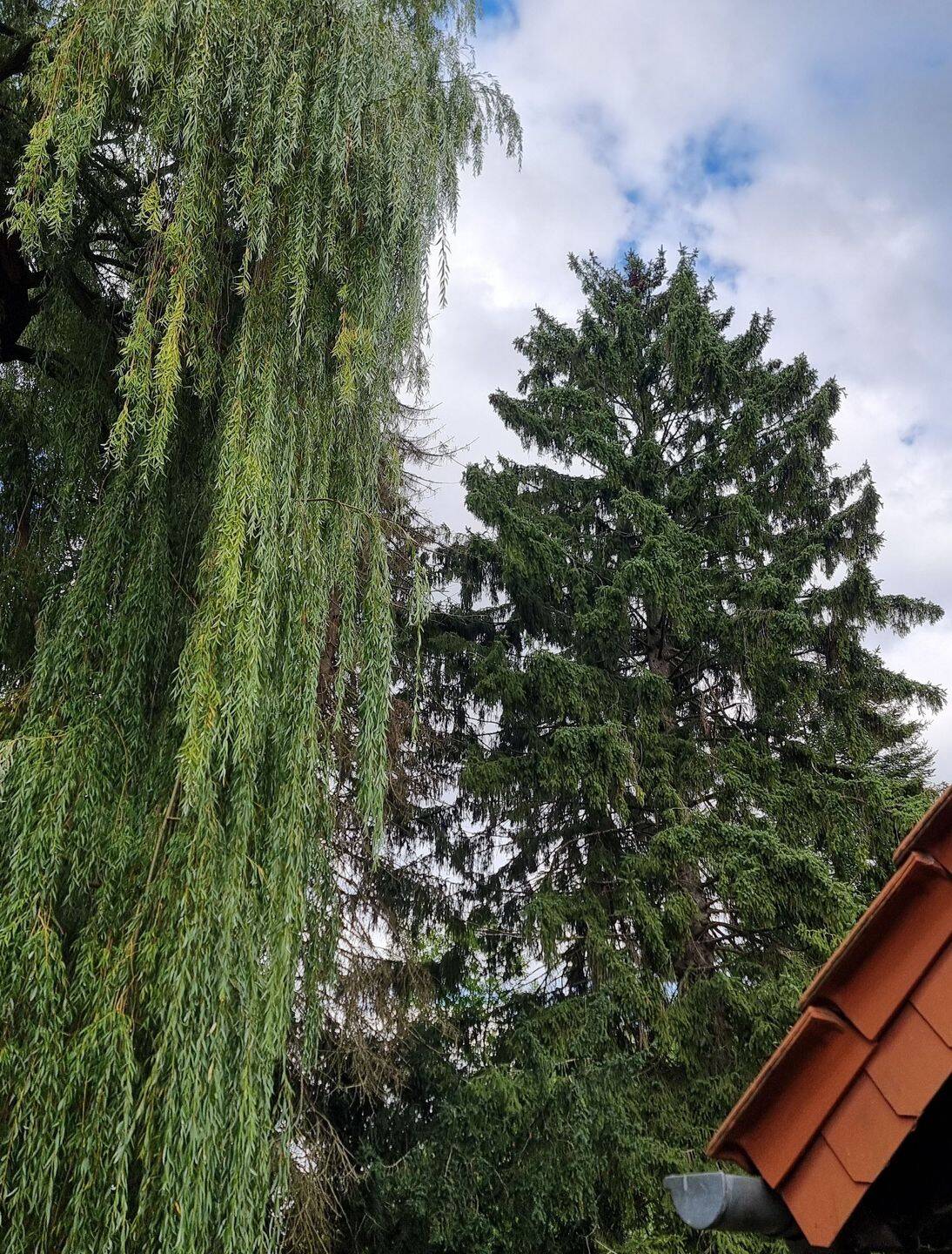 Haus – Salzhemmendorf, Hemmendorf - Ansicht 5