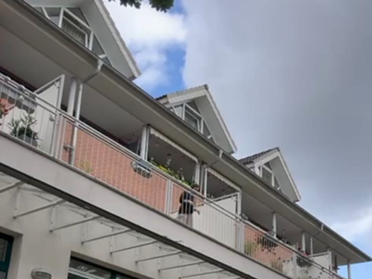 Terrassenwohnung zur Miete 998 € 2 Zimmer 54 m² Geschoss 1/2 frei ab sofort Attilastraße Großziethen Schönefeld 12529