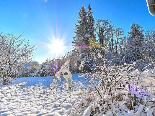 Grundstück zum Kauf 2.950.000 € 1.305 m² Grundstück Planegg 82152