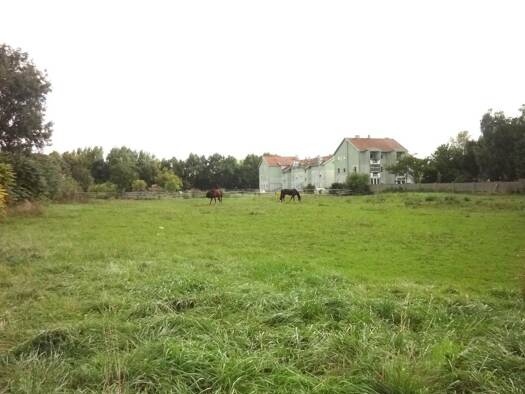 Grundstück zum Kauf 1.450.000 € 5.000 m² Grundstück Gols 7122