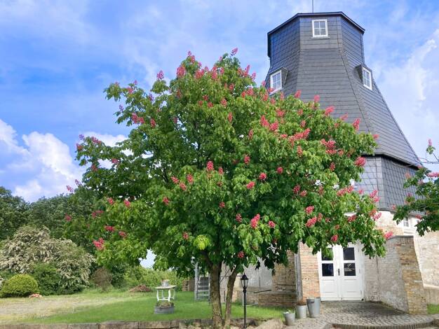 Ladenfläche zur Miete 980 € 104 m² Verkaufsfläche Ramstedt 25876