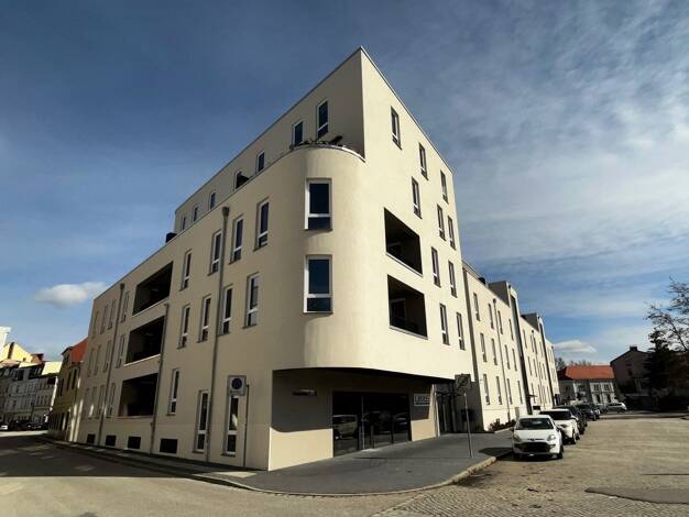 Studio zur Miete 625 € 2 Zimmer 50 m² frei ab 01.10.2025 Mitte Cottbus 03046