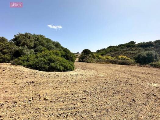 Acker-/Waldstück zum Kauf 150.000 € Conil de la Frontera 11140