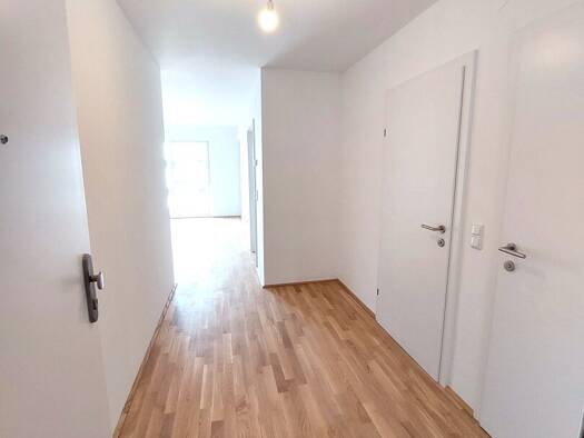 Wohnung zum Kauf - Erstbezug 184.900 € 2 Zimmer 54 m² 1. Geschoss Felix Iribauer-Straße Ober-Grafendorf 3200