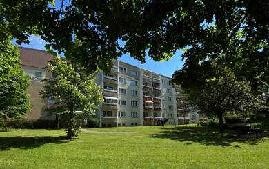 Wohnung zur Miete 300 € 3 Zimmer 59 m² 3. Geschoss frei ab sofort Turnerstraße 11 Ronneburg Ronneburg 07580