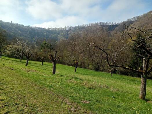 Land-/Forstwirtschaft zum Kauf 29.900 € 8.560 m² Grundstück Bad Überkingen Bad Überkingen 73337