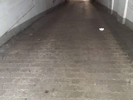 Tiefgaragenstellplatz zum Kauf provisionsfrei 50.000 € Maxvorstadt München 80335