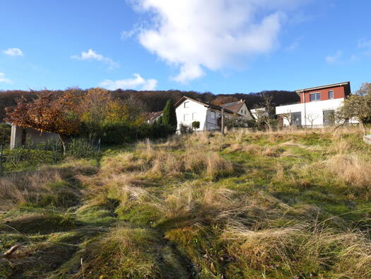 Grundstück zum Kauf 699.000 € 1.410 m² Grundstück Kelkheim Kelkheim (Taunus) 65779