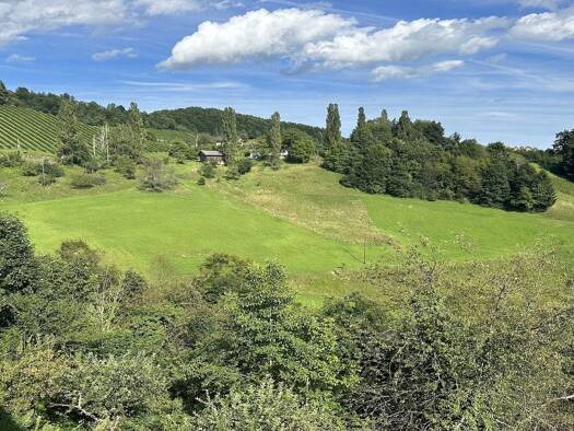 Bauernhof zum Kauf 599.000 € 45.000 m² Grundstück Leutschach an der Weinstraße 8462