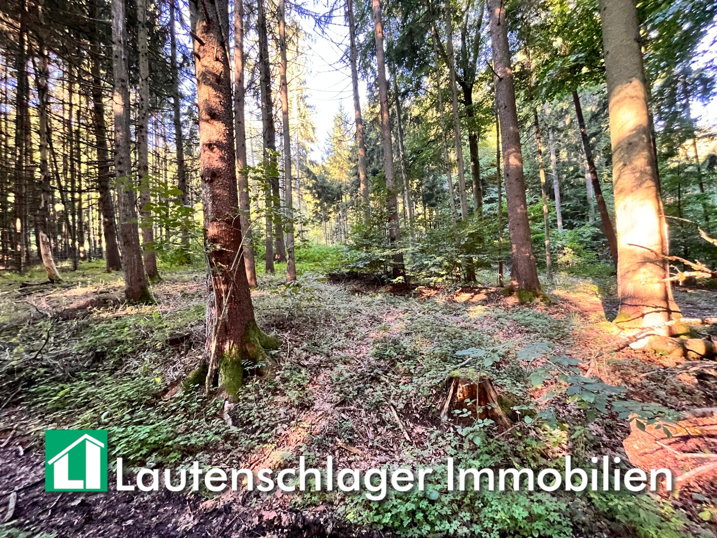 Land-/Forstwirtschaft zum Kauf 42.000 € 8.760 m²<br/>Grundstück Ottosau Neumarkt in der Oberpfalz / Schafhof 92318