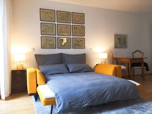Wohnung zur Miete 500 € 1 Zimmer 33 m² 1. Geschoss frei ab sofort Steubenstraße 50 Handschuhsheim Heidelberg 69121