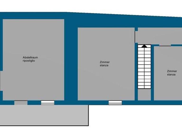 Bauernhaus zum Kauf 240.000 € 3 Zimmer 370 m² 40.000 m² Grundstück frei ab sofort Buggiano 51011