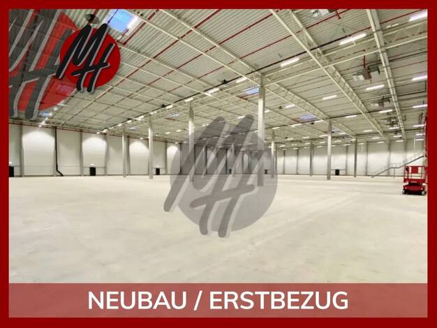 Halle/Industriefläche zur Miete - Erstbezug 19.600 m² Lagerfläche Fledder Osnabrück 49084