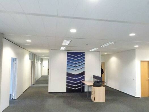 Bürogebäude zur Miete provisionsfrei 12,50 € 795 m² Bürofläche teilbar ab 161 m² Gonsenheim Mainz 55124