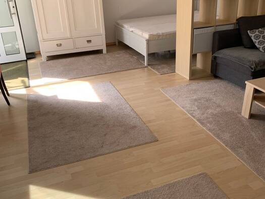 Wohnung zur Miete 550 € 1 Zimmer 60 m² Geschoss EG/1 frei ab sofort Rodheim-Bieber Biebertal 35444