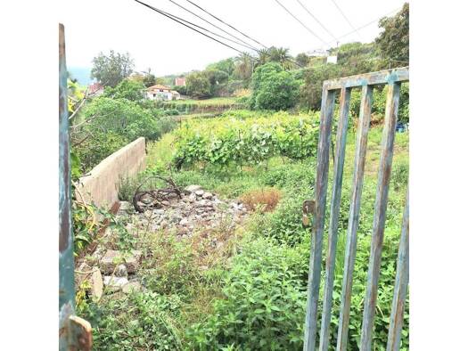 Acker-/Waldstück zum Kauf 45.000 € Calle Tizón S S/N La Orotava 38300