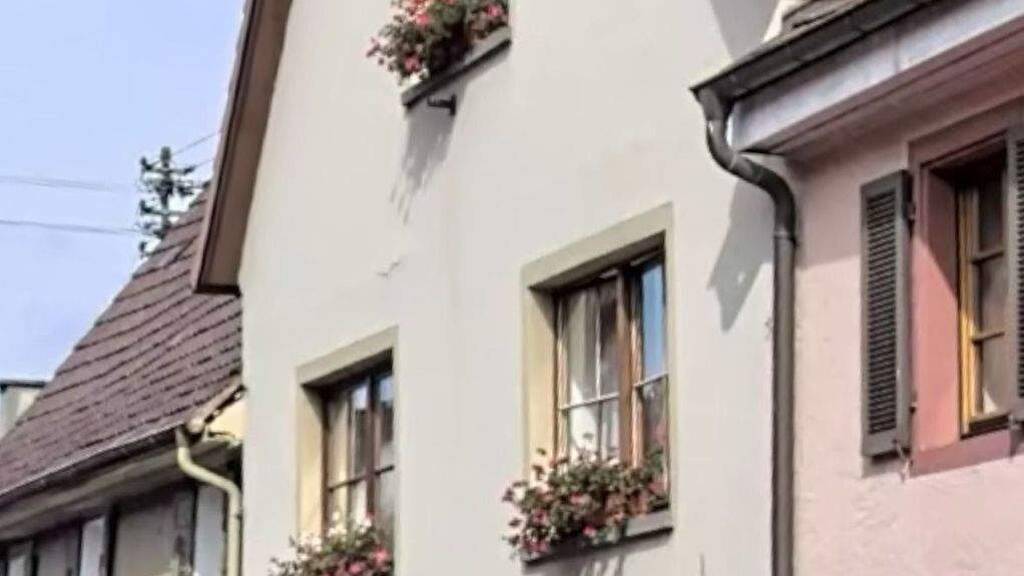 Studio zur Miete 450 € 1 Zimmer 20 m² Burkheim Vogtsburg im Kaiserstuhl 79235