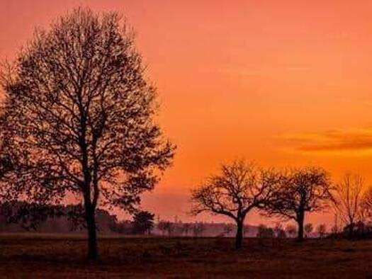 Grundstück zum Kauf 750.000 € 2.266 m² Grundstück frei ab sofort Ober-Roden Rödermark 63322