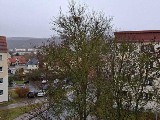 Wohnung zur Miete 550 € 4 Zimmer 73 m² 2. Geschoss frei ab sofort Hasenholzweg 6 Sondershausen 99706