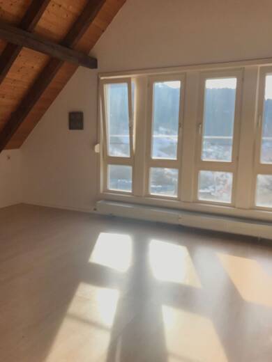 Wohnung zur Miete 370 € 1,5 Zimmer 40 m² Dachgeschoss, 2. Geschoss frei ab 01.08.2025 Erhard-Junghans-Str. 25 Schramberg Schramberg 78713