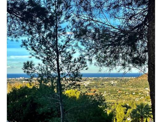 Acker-/Waldstück zum Kauf 340.000 € Dénia 03750