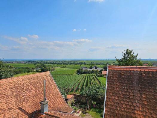 Bauernhaus zum Kauf 395.000 € 10 Zimmer 213 m² 689 m² Grundstück frei ab sofort Gleisweiler 76835