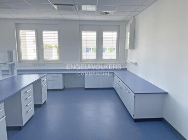 Büro-/Praxisfläche zur Miete 19 € 1.000 m² Bürofläche teilbar ab 1.000 m² Adlershof Berlin 12489