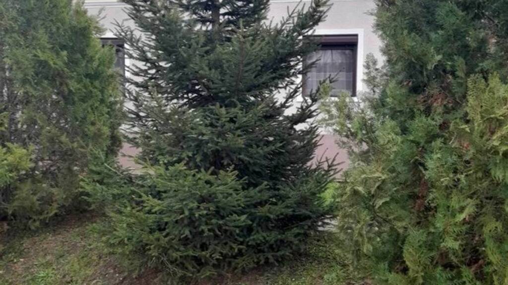 Einfamilienhaus zum Kauf 80.000 € 3 Zimmer 85 m² 1.400 m² Grundstück Pápasalamon 8594