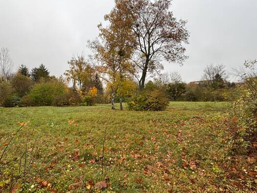 Grundstück zum Kauf 500.000 € 17.306 m² Grundstück Wernigerode 38855
