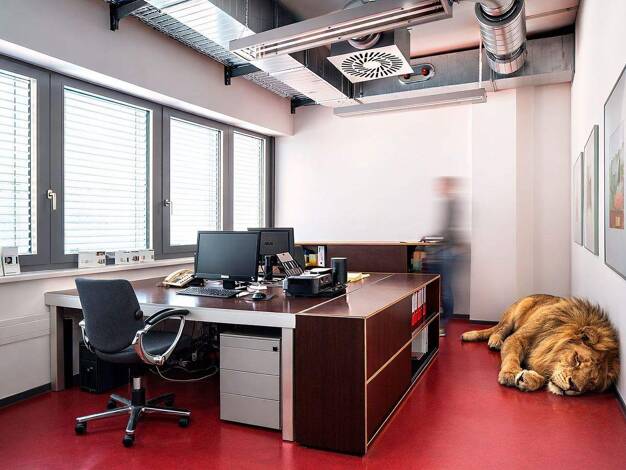 Bürofläche zur Miete 3.892 € 10 Zimmer 420 m² Bürofläche Pfungstadt 64319