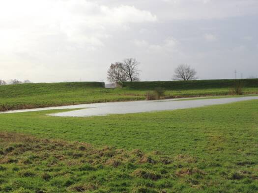 Grundstück zum Kauf 39.000 € 8.678 m² Grundstück Moorrege 25436