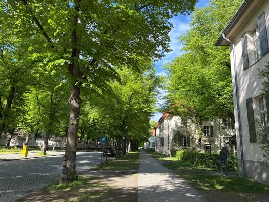 Einfamilienhaus zur Miete 9.750 € 13 Zimmer 325 m² frei ab sofort Buch Pankow 13125