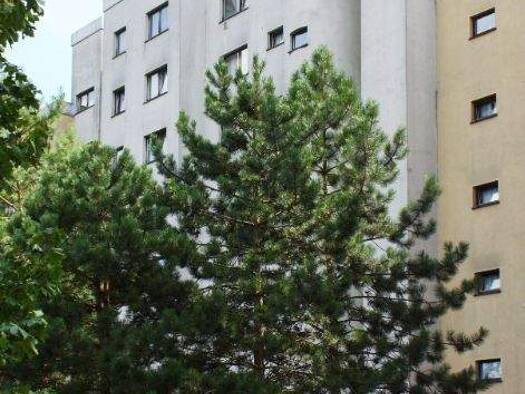 Wohnung zur Miete 694 € 2 Zimmer 56,4 m² 4. Geschoss frei ab 01.02.2026 Sertoriusring 337 Finthen Mainz 55126