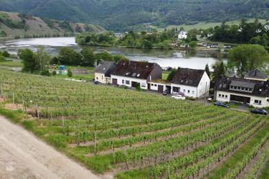 Grundstück zum Kauf 199.000 € 1.280 m² Grundstück Mehring Mehring 54346