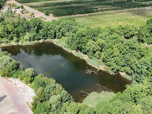 Land-/Forstwirtschaft zum Kauf 35.000 € 25.312 m² Grundstück Mittelweg Schweinitz Jessen (Elster) 06917